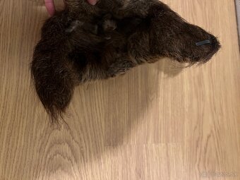 Baranica kožušina kožušinova ciapka práva kožušina líška asi - 7