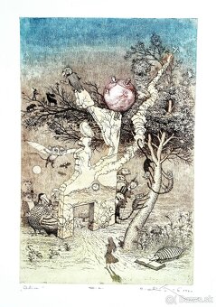 Alica v ríši divov - 7