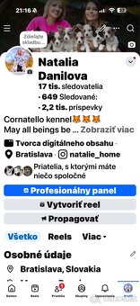 Welsh corgi cardigan s PP - 7