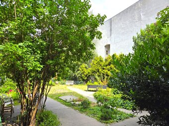 Exkluzívne v PNORF: Priestor a štýl v srdci Starého Mesta - 7