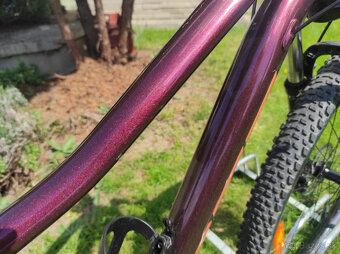 Scott Contessa Active 60 - 7