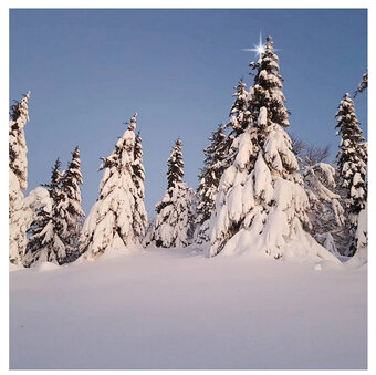 CHATA / DONOVALY / TICHÁ LOKALITA / 400 m2 / - 7