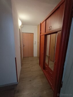 Prenájom 1,5 izb. - Jazero - 7