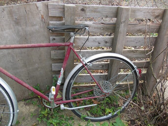 Stary favorit,eska - 7