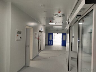 Maliar,maliarske prace,malovanie - 7