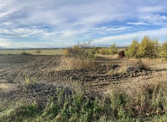 Vinica s chatkou – Hegyfarok, Kamenný Most – predaj/výmena - 7