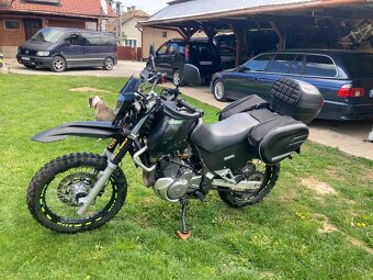 Suzuki XF 650 - 7