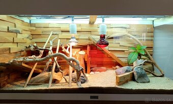 Terarium komplet - 7