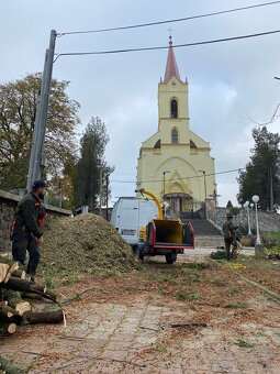 Výrub a ozer rizikových stromov - 7