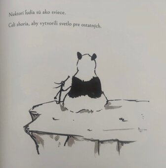 Veľká panda a malý drak; Cesta múdrej mačky - James Norsbury - 7