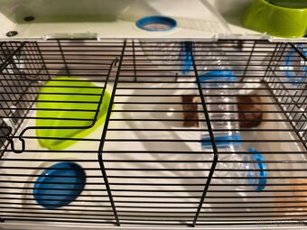 Klietka OLIMPIA pre škrečka s výbavou 46 x 29,5 x 54 cm - 7