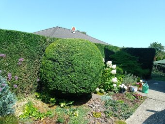 Zakladač trávnika - 7