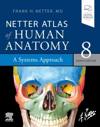 Anatomia e-knihy - 7