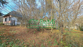 Znížená cena Dva Domy na samote v krásnej prírode Stará Turá - 7