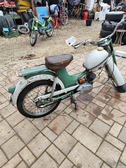 Predám 2 kusy Riga - 7