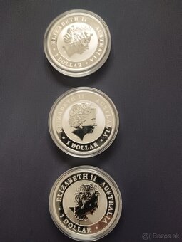 Wedge teiled eagle - 7