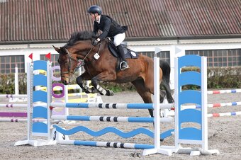 KOBYLKA NA AKTIVNÍ REKREACI / HOBBY SPORT - 7