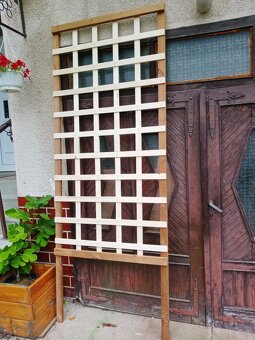 Pergola na hrozno, kvety atď. - 7