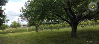 HALO reality - Predaj, rekreačný pozemok Krupina, Stará hora - 7