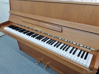 Hohner Piano pre viacero generácie - 7