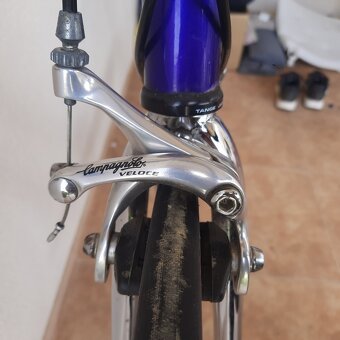 Omelka road | Campagnolo Veloce | 56 - 7