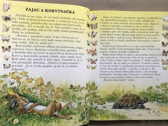 Maťo a Klinček, Disney Macko Puf, Barbie, Tomáš a Alica - 7