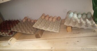 NV zelené od GSH - 7