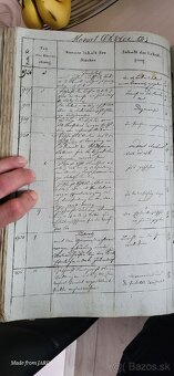 Predám Politisches Einreichungs-Protocoll - 7