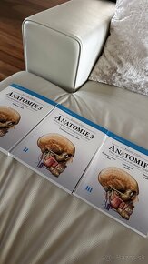 Čihak anatómie 3 vydanie - 7