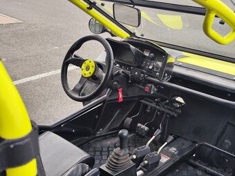 BUGGY - 7