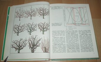 Tvarovanie a rez ovocných drevín - 7