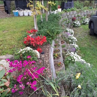 Predam záhradnú chatku na Dubni - 7