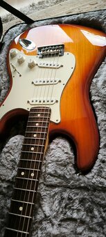 Fender American Professional Stratocaster - 7