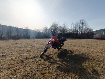 Honda xl 500 - 7
