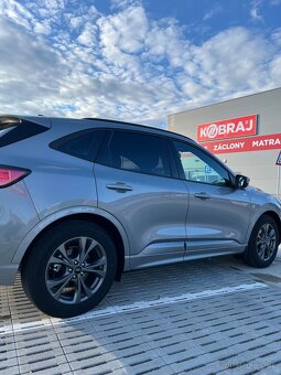Kuga - 7