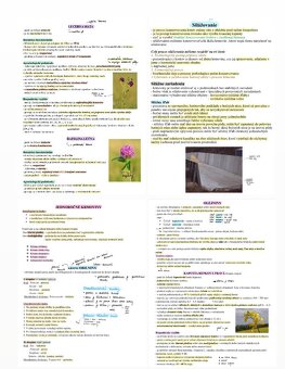 UVLF študijný materiál pre 1.ročník VVL/HP - 7