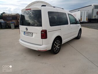 Caddy - 7