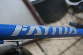 Dámsky bicykel - 7