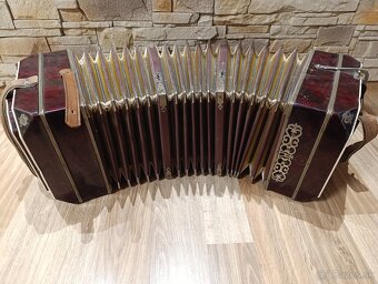 Gombikova harmonika - 7