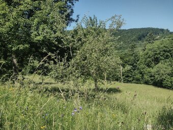 PREDAJ pozemky Drietoma, časť Branné, 8045m2 - 7