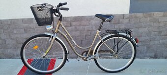 Kenzel 28" - 7