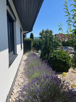 4-izbový rodinný dom vo Zvolenskej Slatine – pokojná lokalit - 7