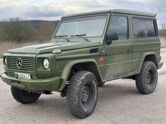 Mercedes g 300d w463 - 7