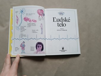 Ľudské telo - 7