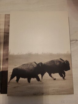 U2 -THE BEST OF 1990-2000 DVD - 7