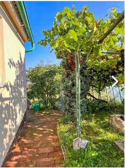 Predaj zahrady s chatou - 7