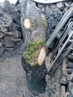 Ceresnové drevo - 7