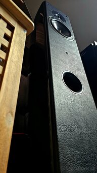 Sonus Faber Concerto Domus SE - 7