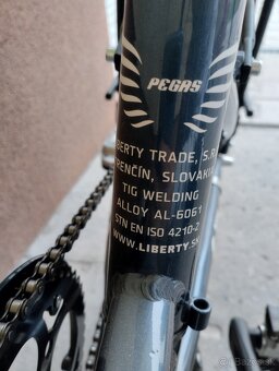 Liberty e-Pegas 3spd - 7