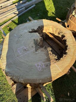 Vysušené dubové koláče / priečne rezy, dub - 7